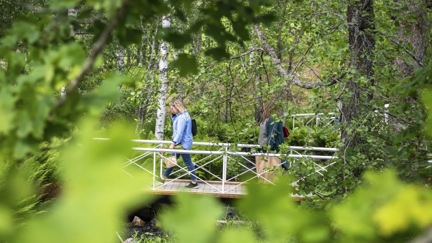 Two girls are hiking in the nature.