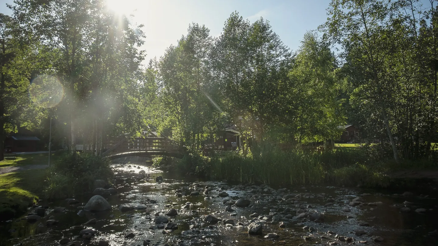 Naturen i Säterdalen med rinnande vatten.