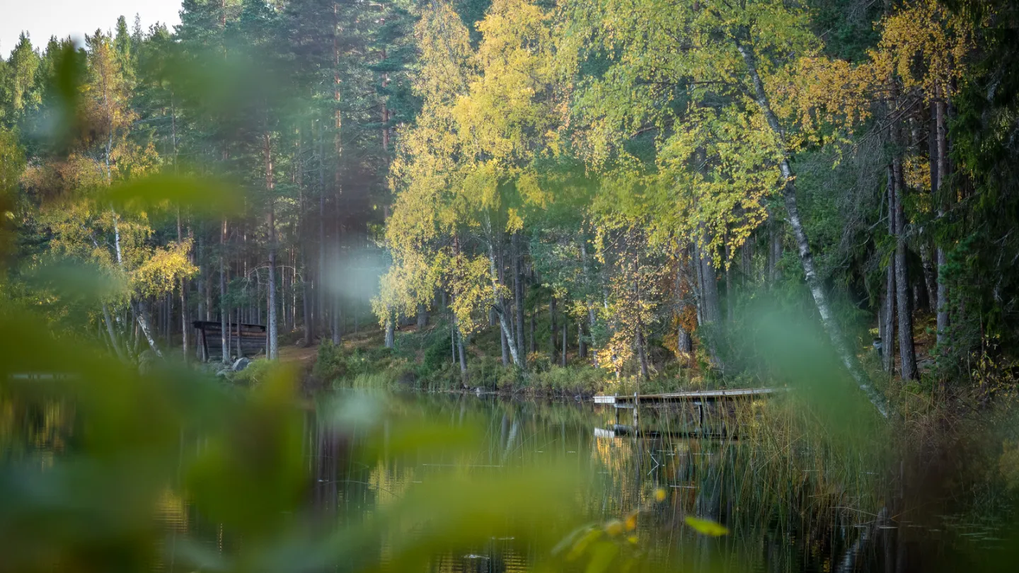 Fiskevatten i Dalarna.