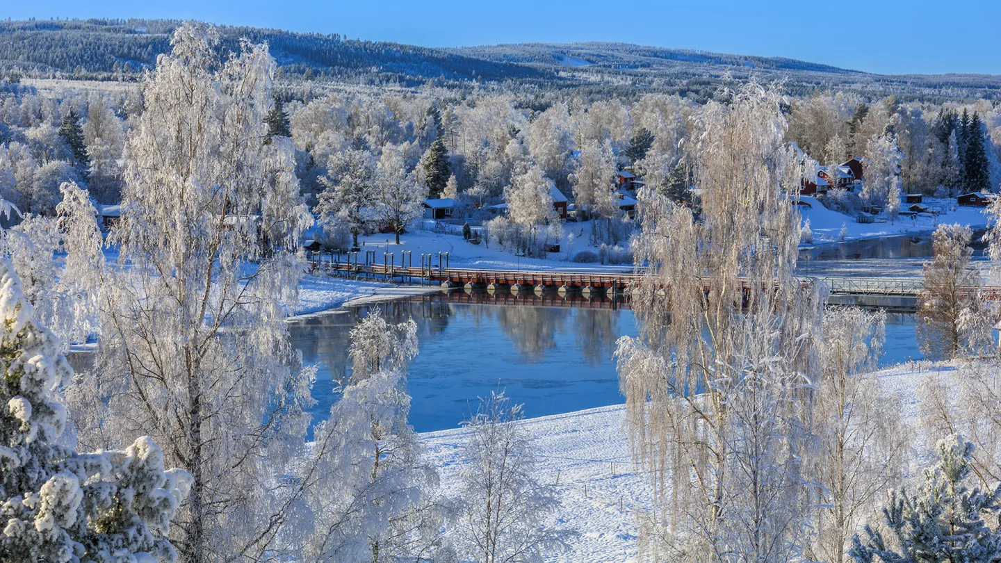 Flottbron i Gagnef foto av Erik Ersson.