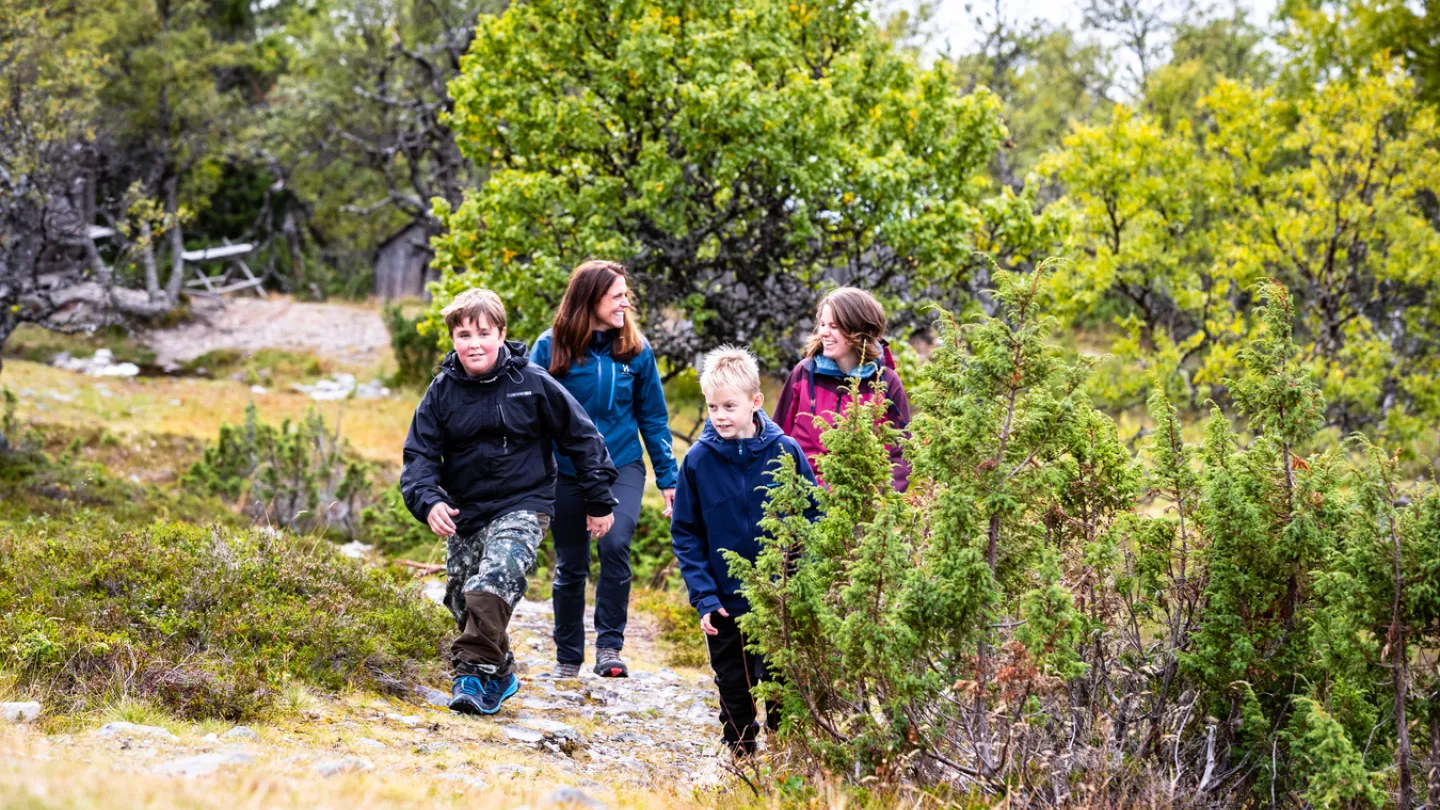 A family is hiking.